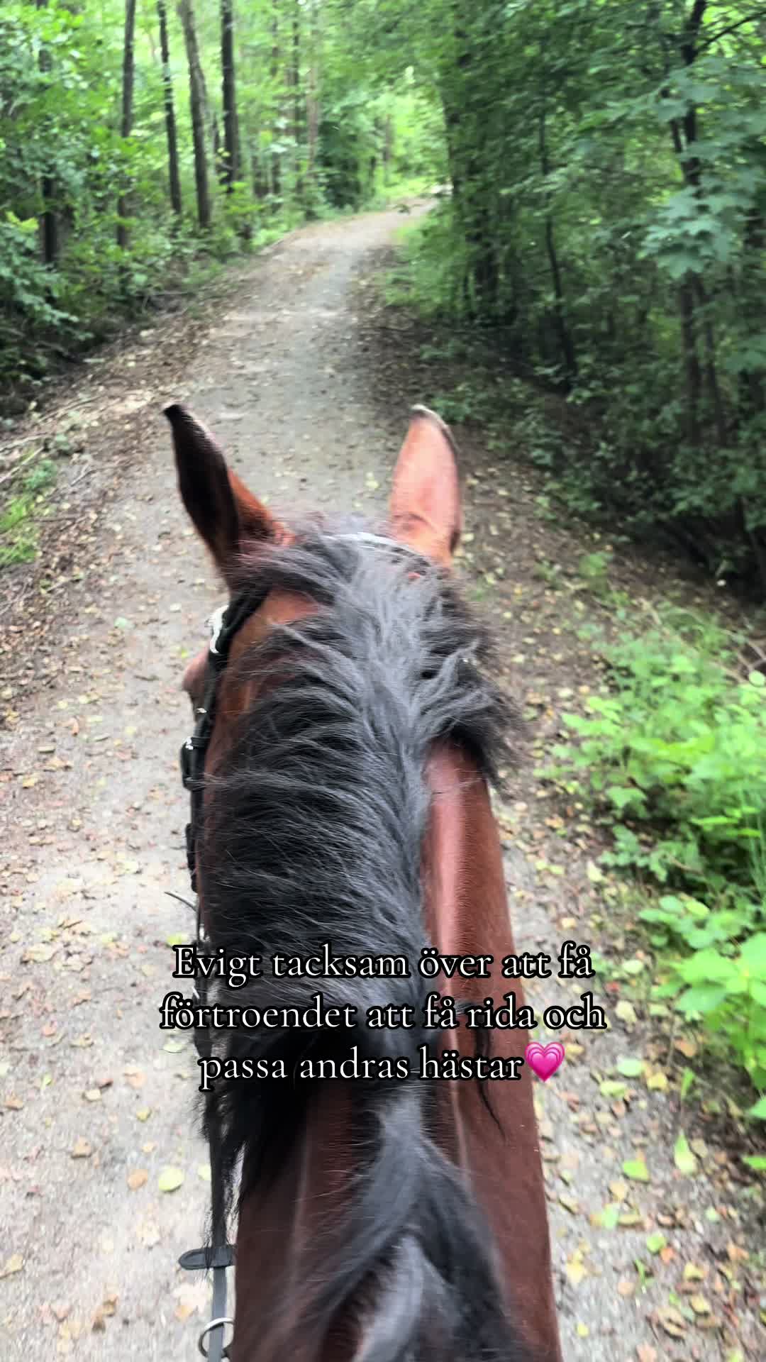 @Tilda Zöller🇸🇪