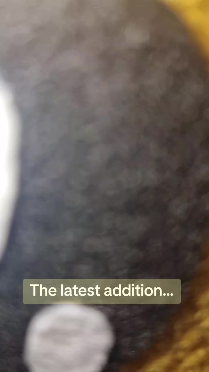 @Natalie 💜🧭💎