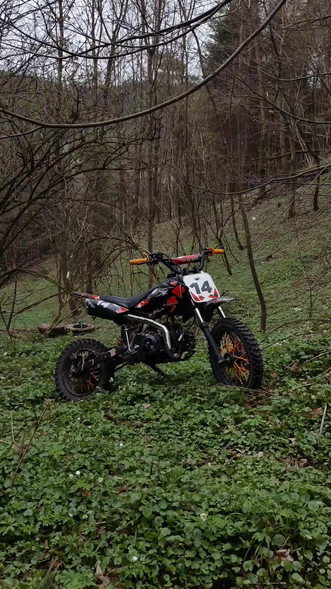 @👍🏻