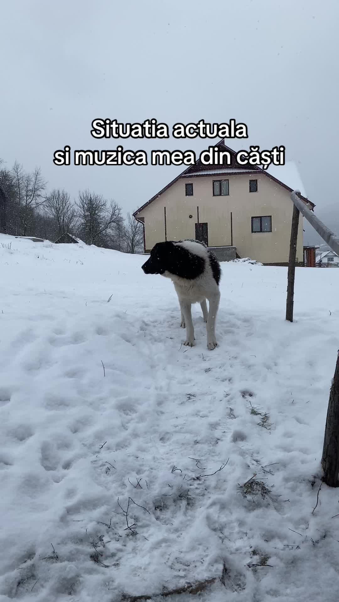 @RUUUUX