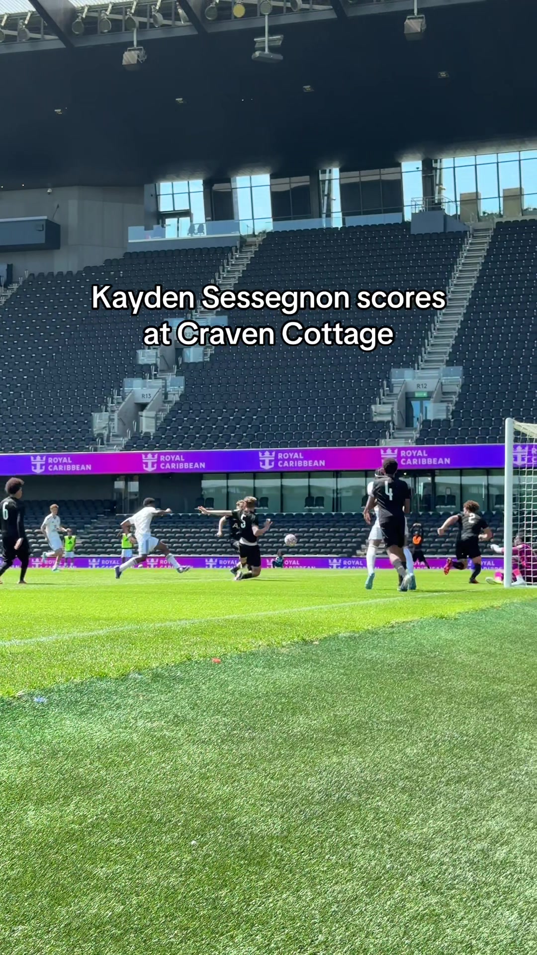 @Fulham FC