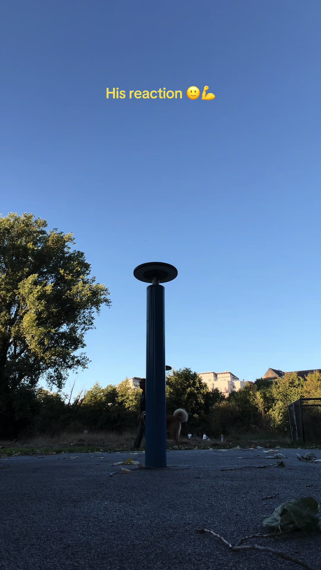 @balancedbyben