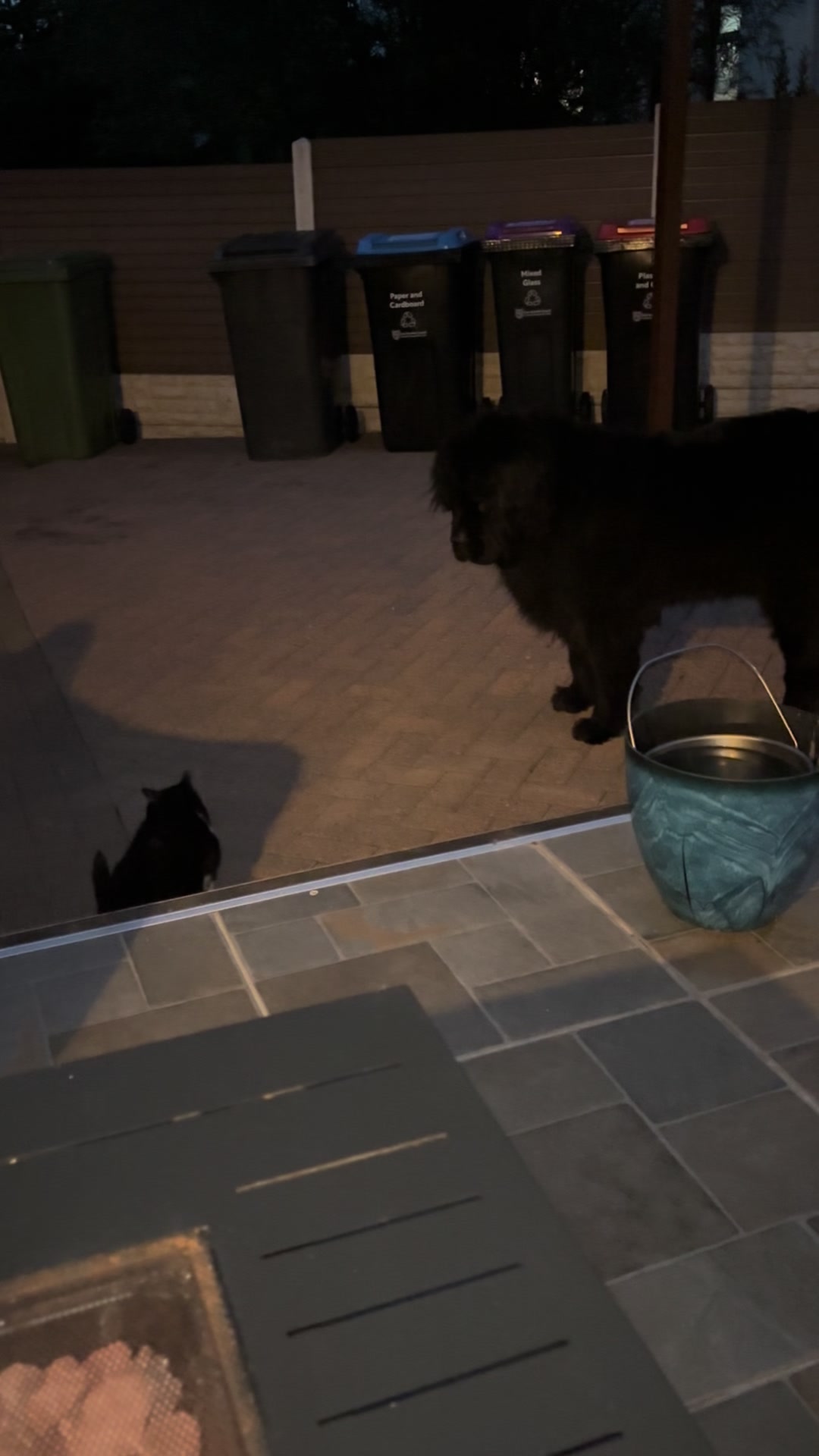 @Pablopoppypiperpoodle