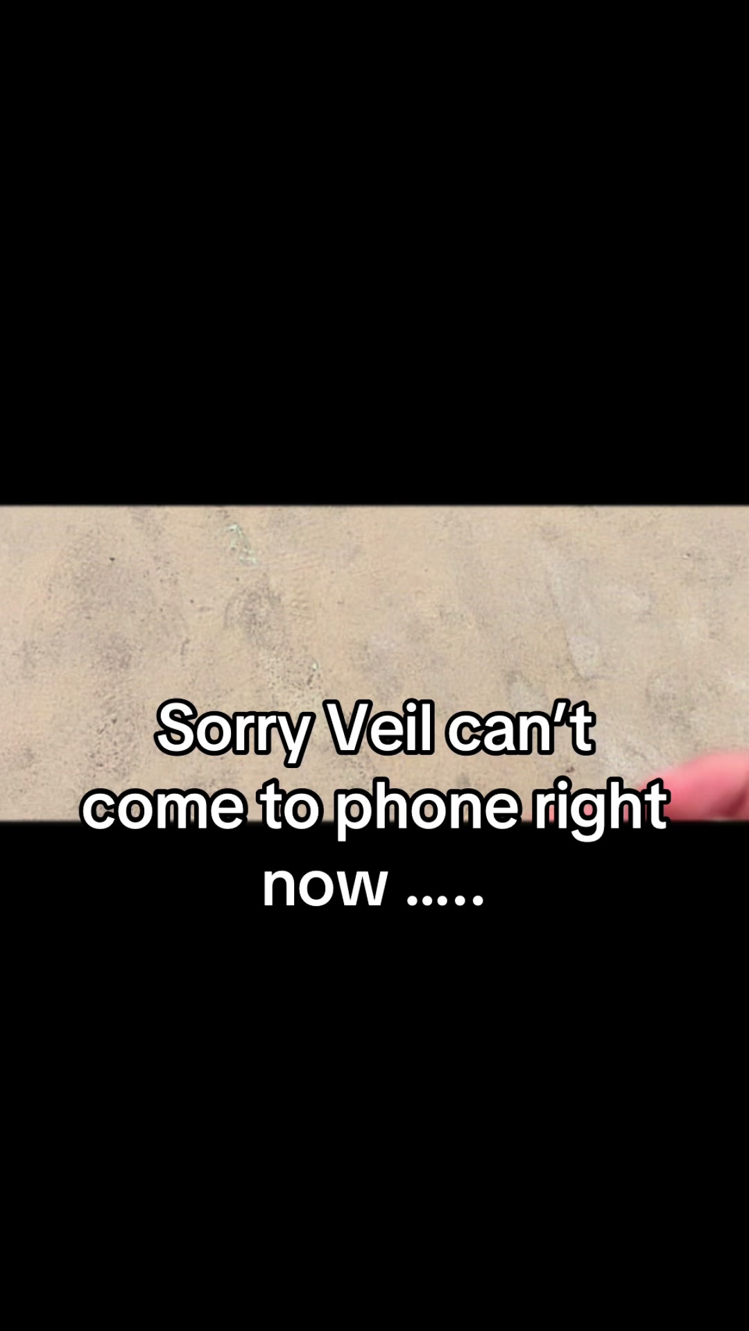 @Victoria RENNE Vital