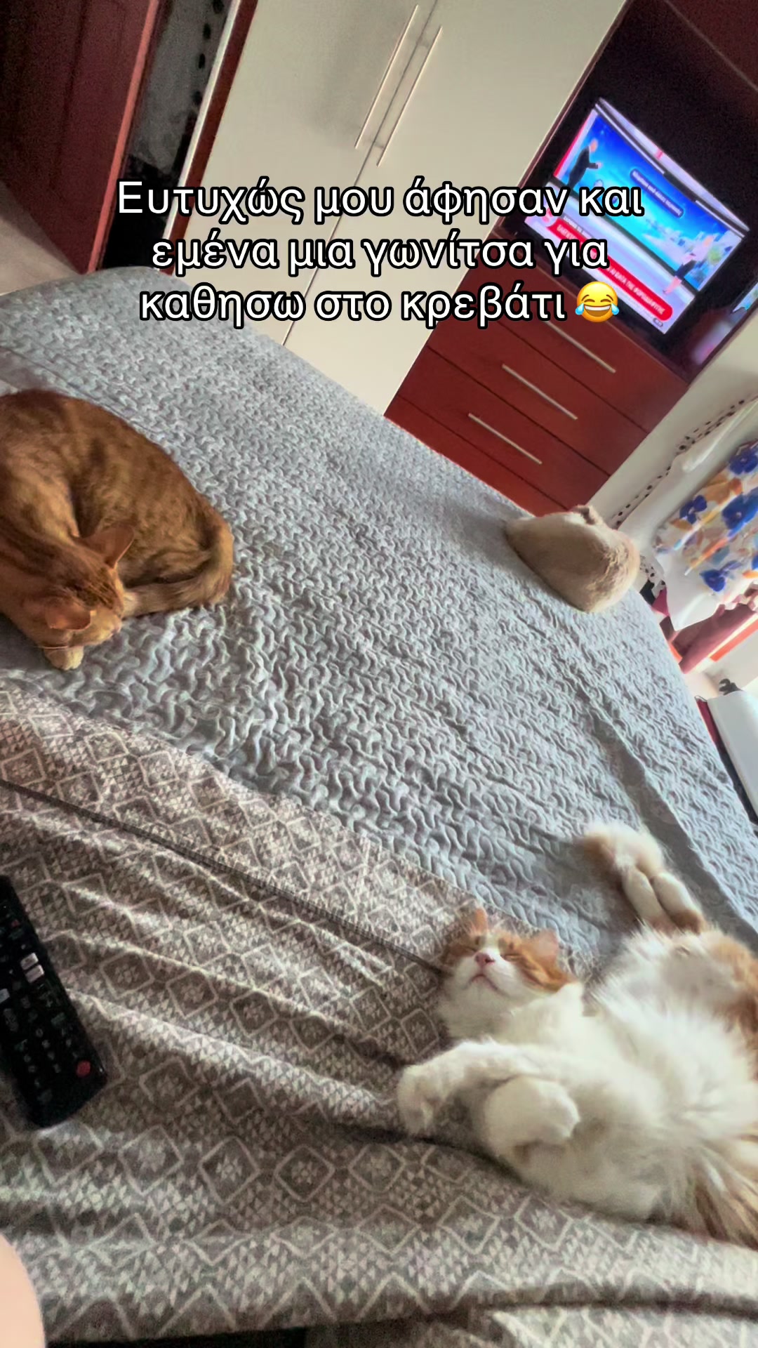 @Φανούρης ❤️🐈