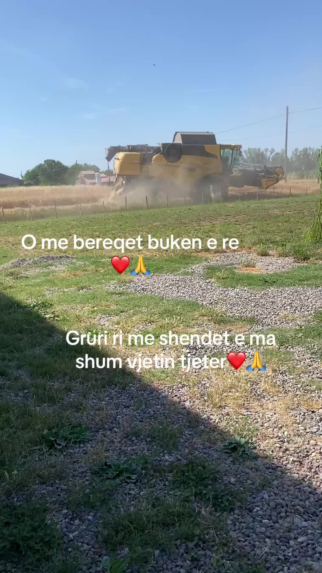 @Ganxhe Marku