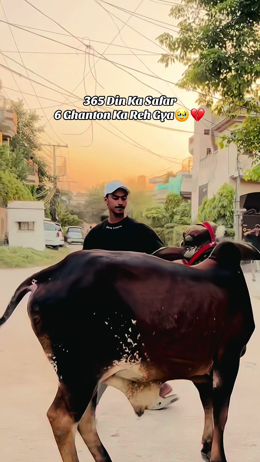 @نبیل اکرم🐺