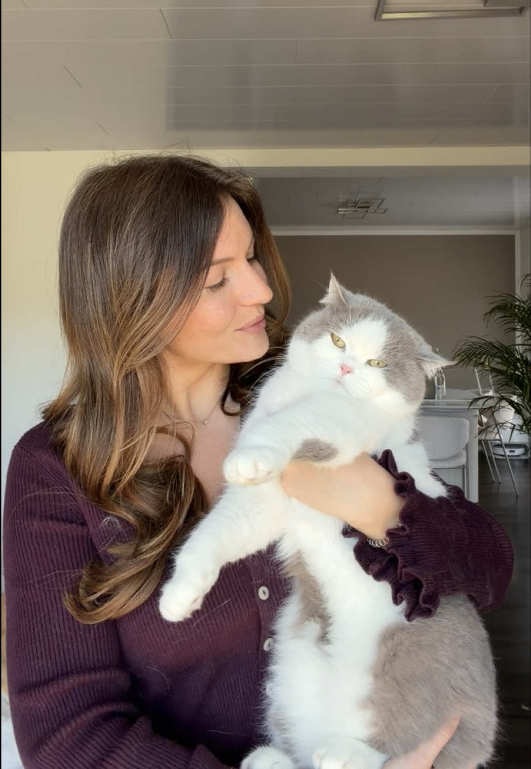 @Sinascolorcats