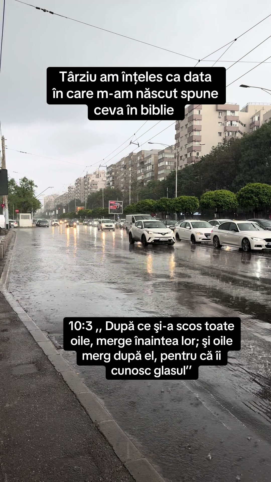 @dessitos