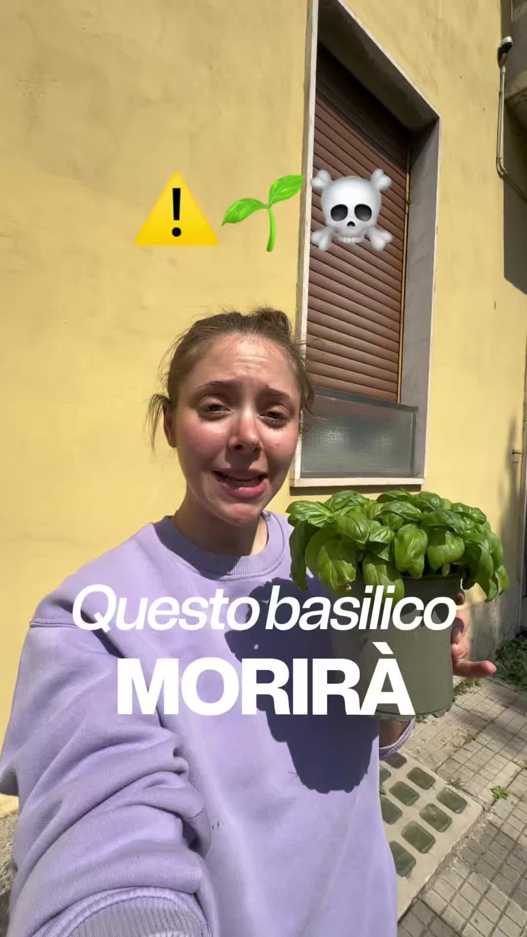 @ilmondosecondoluisa