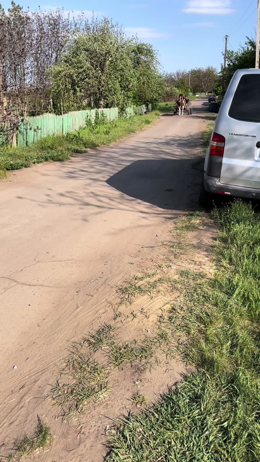 @Саня MAN 5655-5755