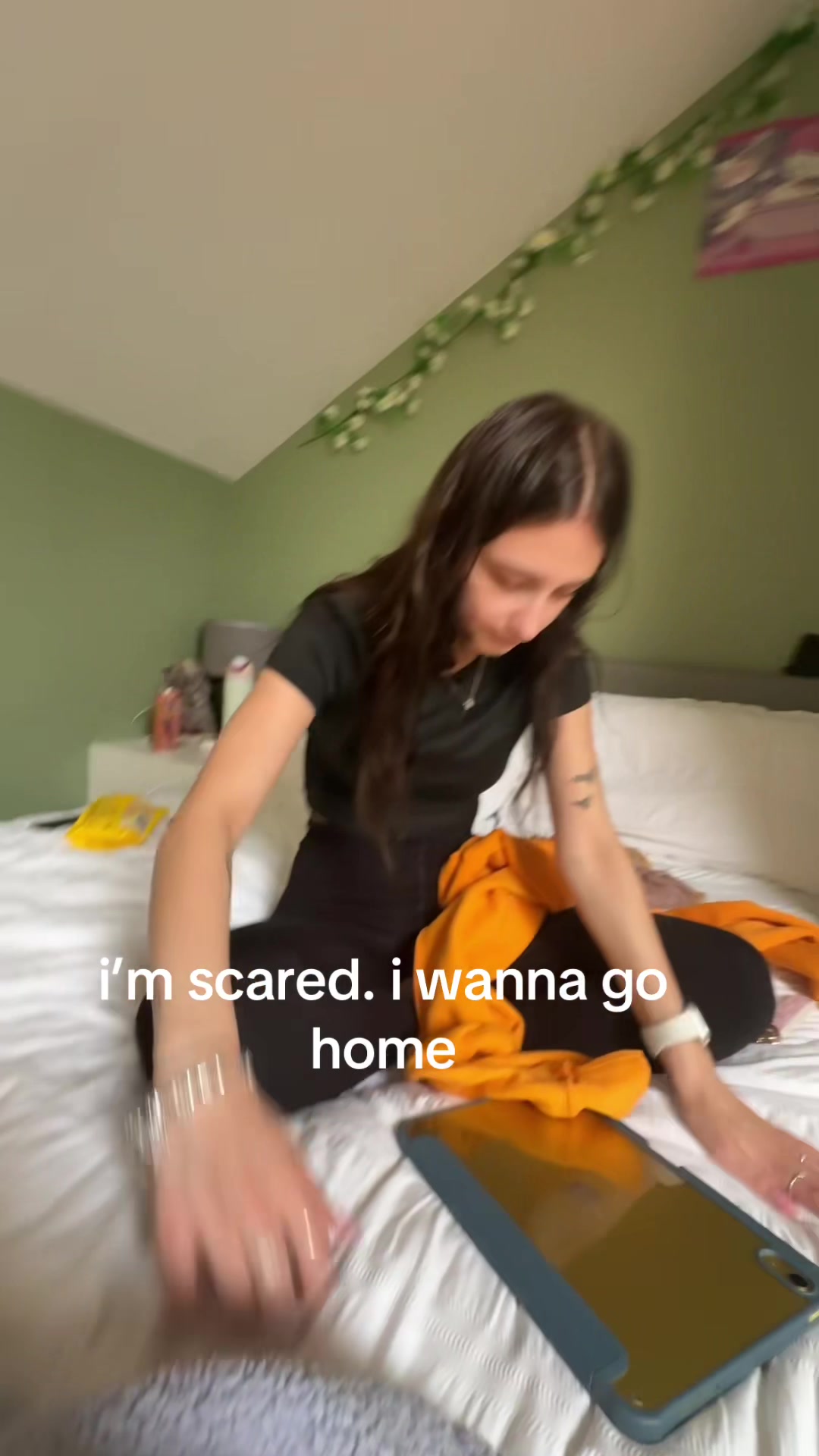 @isobel🩷