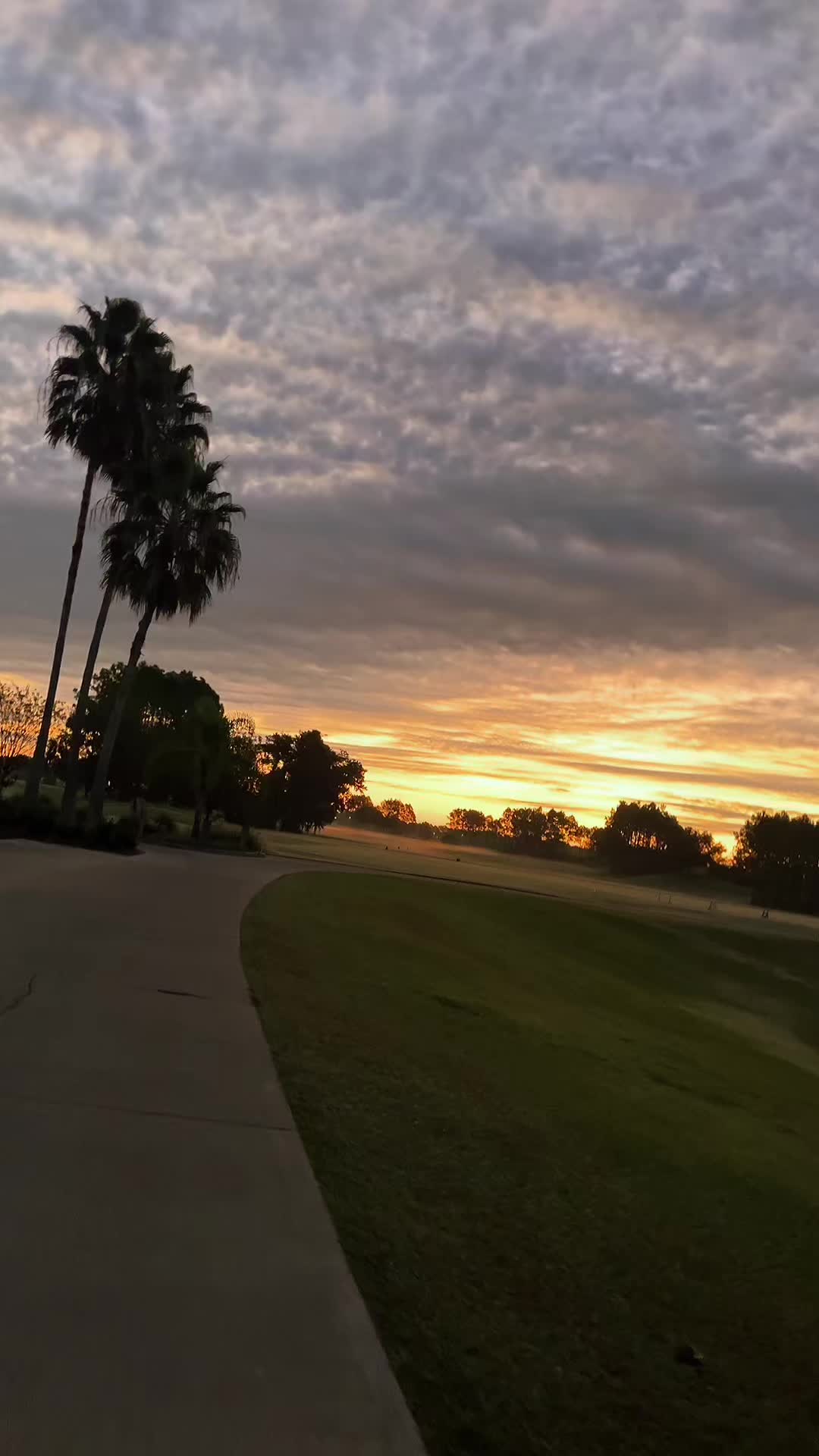 @masterzapata7dan