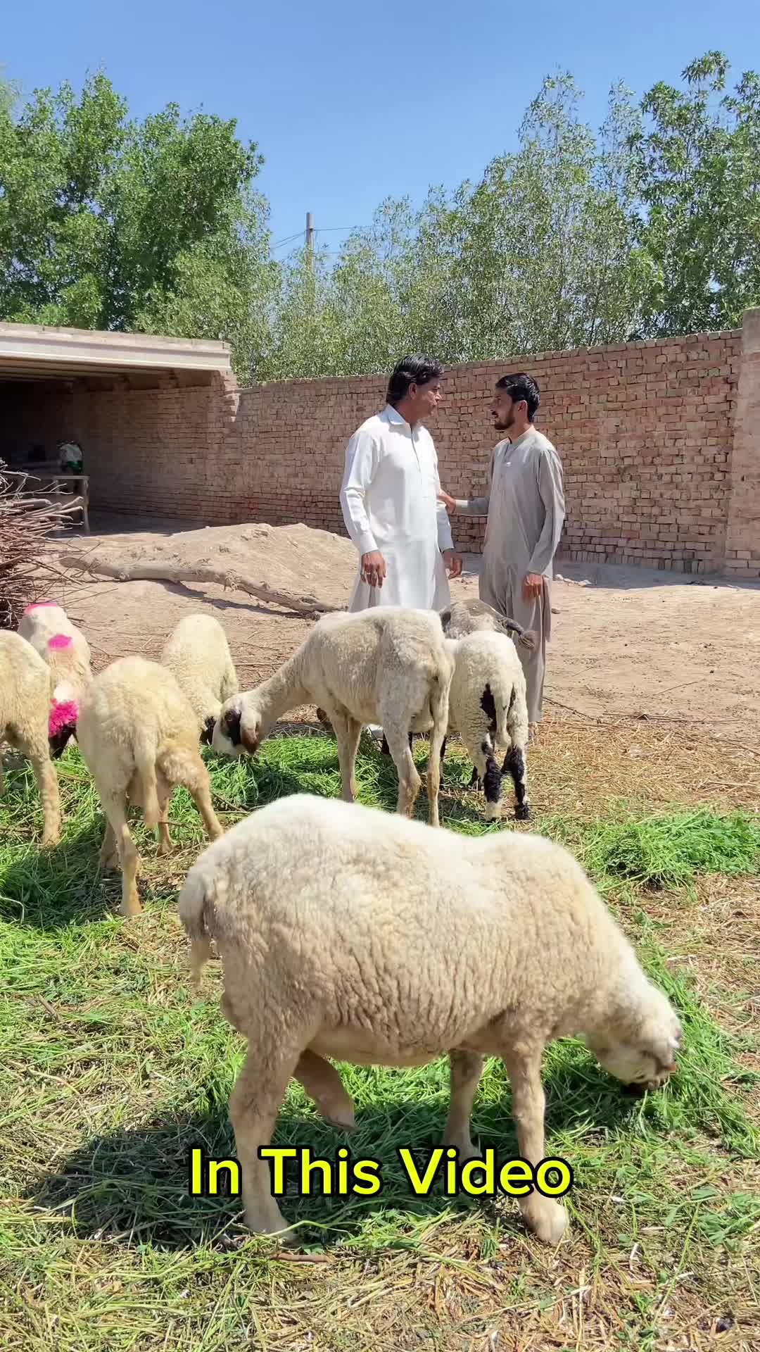 @Team Jawana Dii