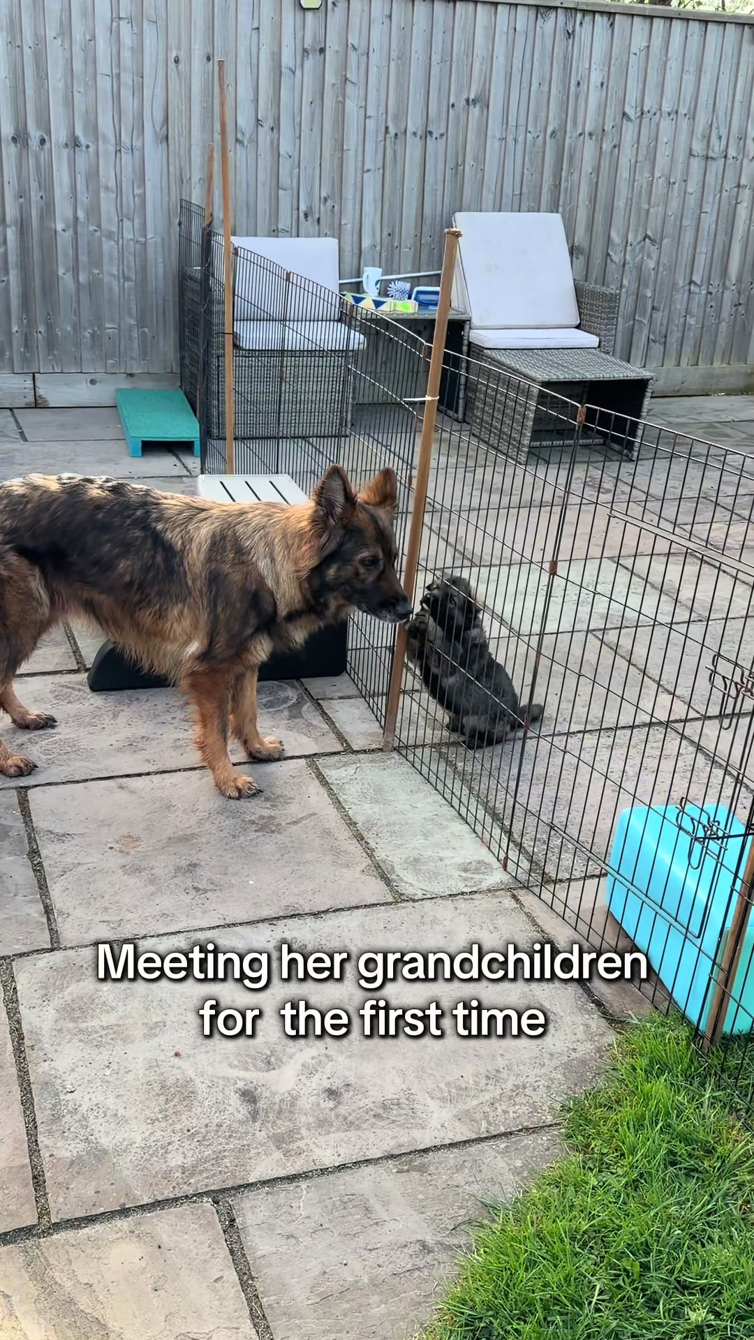 @TheGSDhubwithjennygould