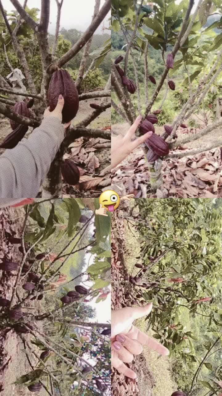 @𐙚˙