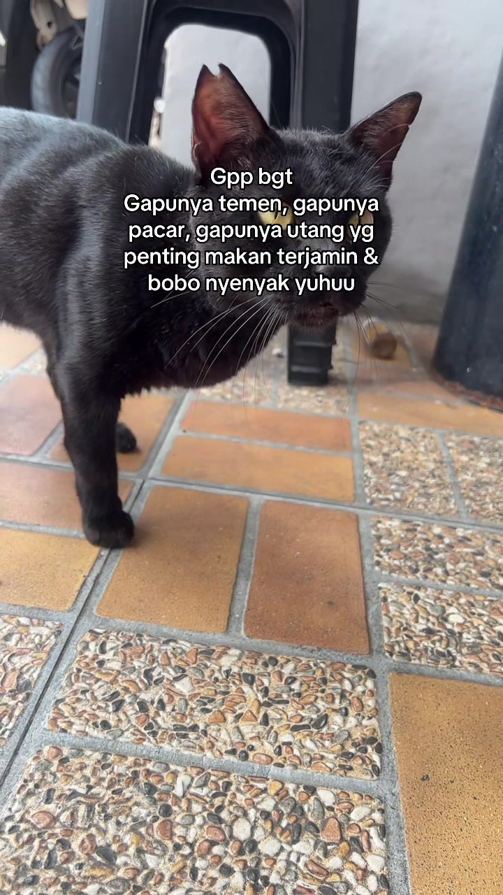 @Haqhaqcatsnfams