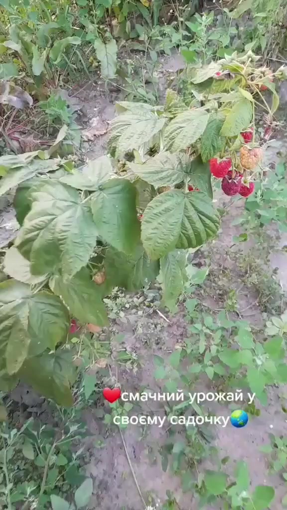 @ДИЗАЙНЕР👗🪡🎁#ДляКапризних👑