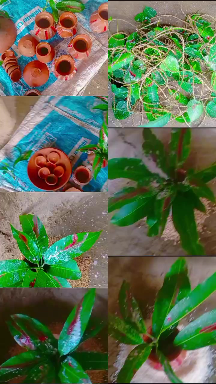 @Ajay Kumar paswan 051