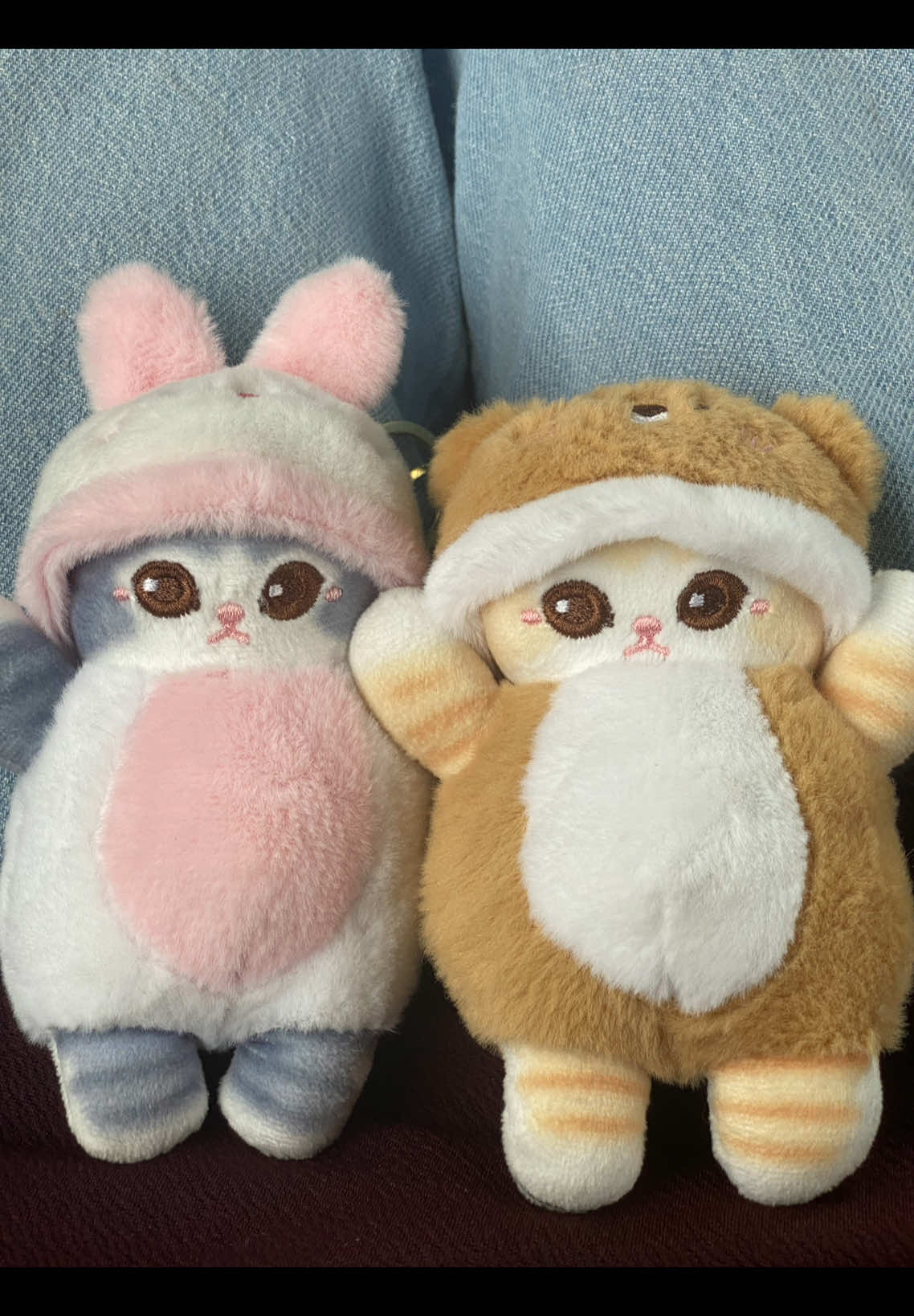 @taekitty