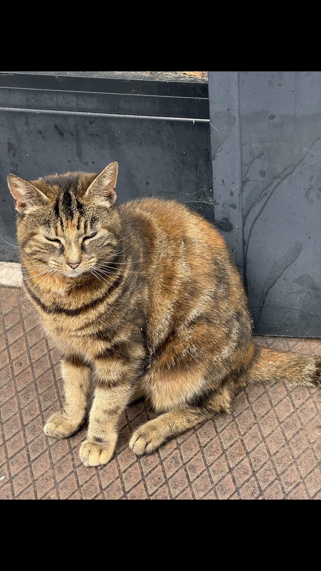 @mahesansenthuran2