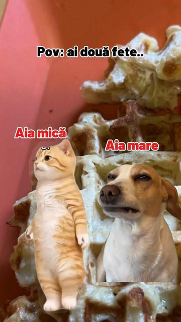 @R ♡xana