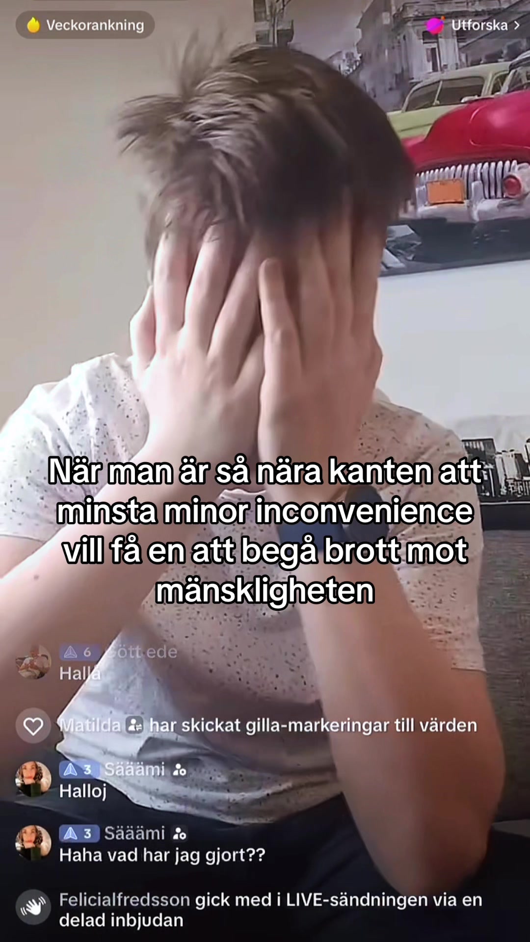@kattensmatte