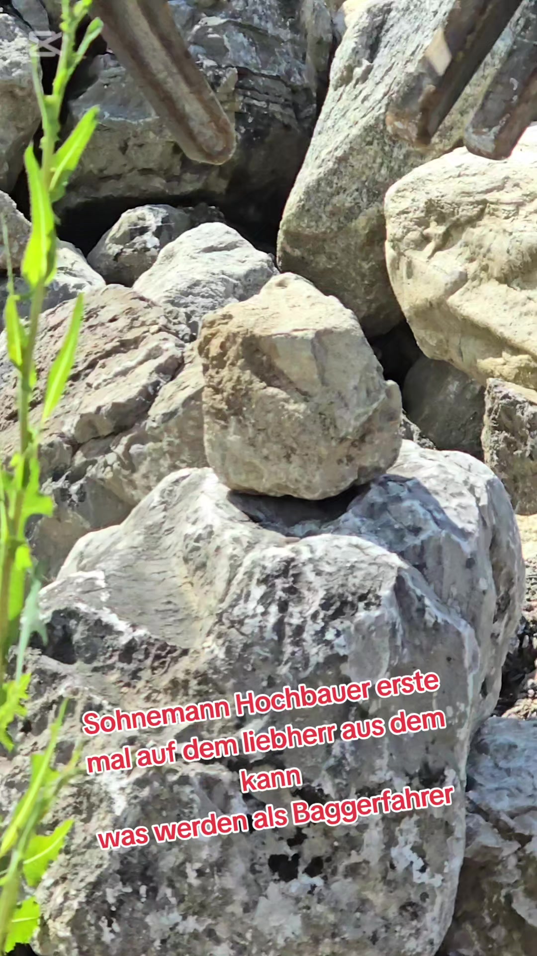 @diggerkurt🇦🇹🇦🇹🇦🇹🇦🇹🤟💯