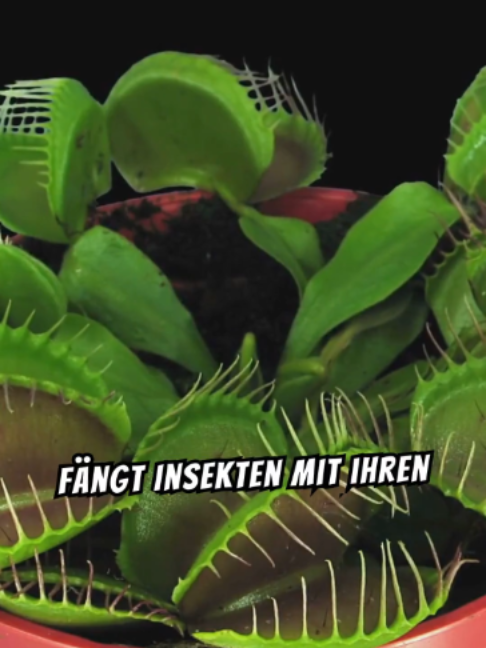@Unglaubliche Fakten zu ...