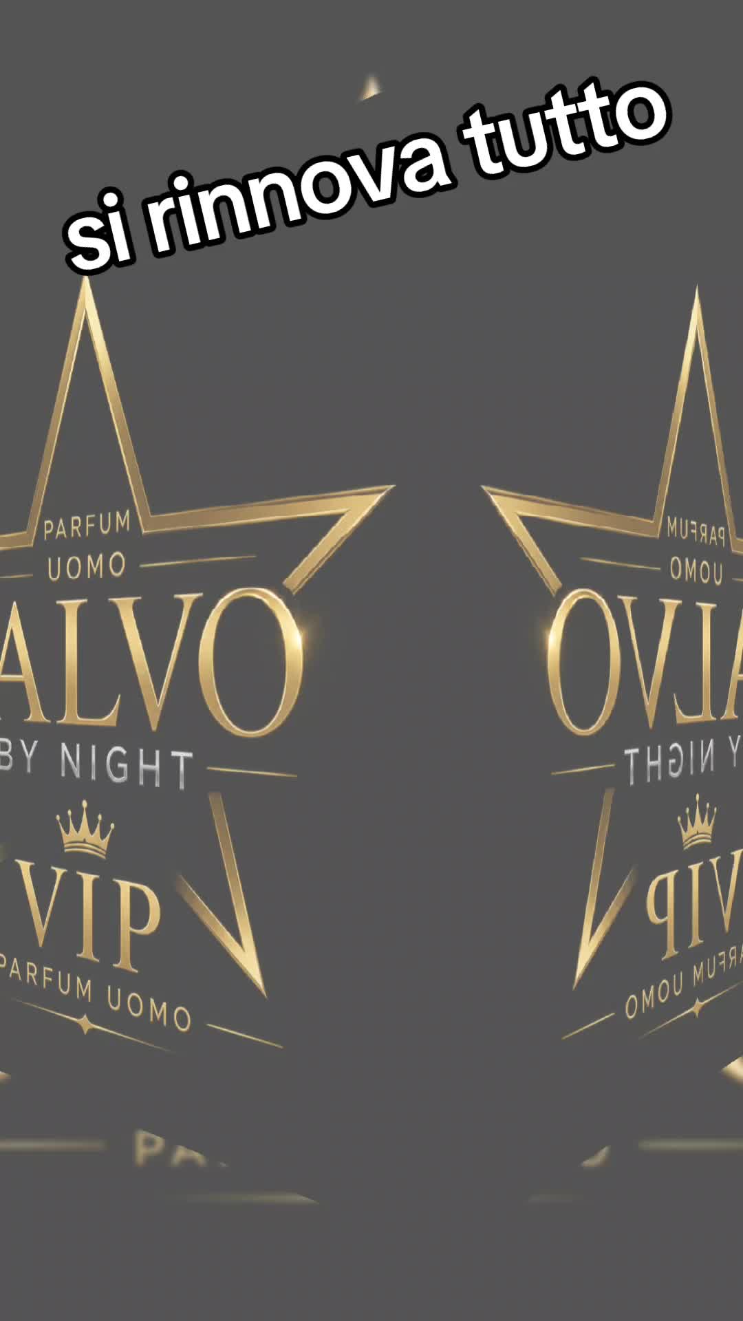 @salvo by night in the world