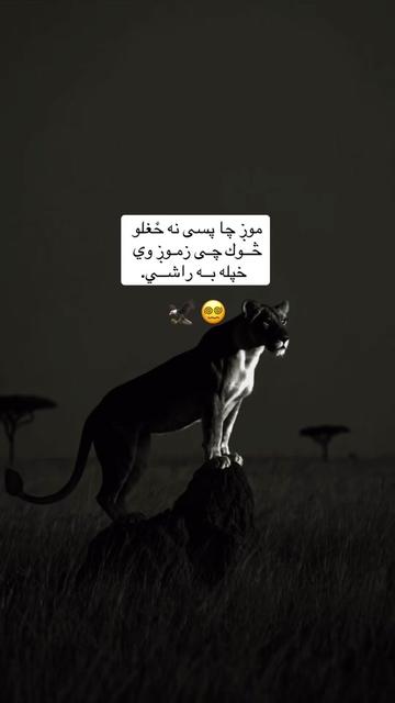 @﮼لغمانے