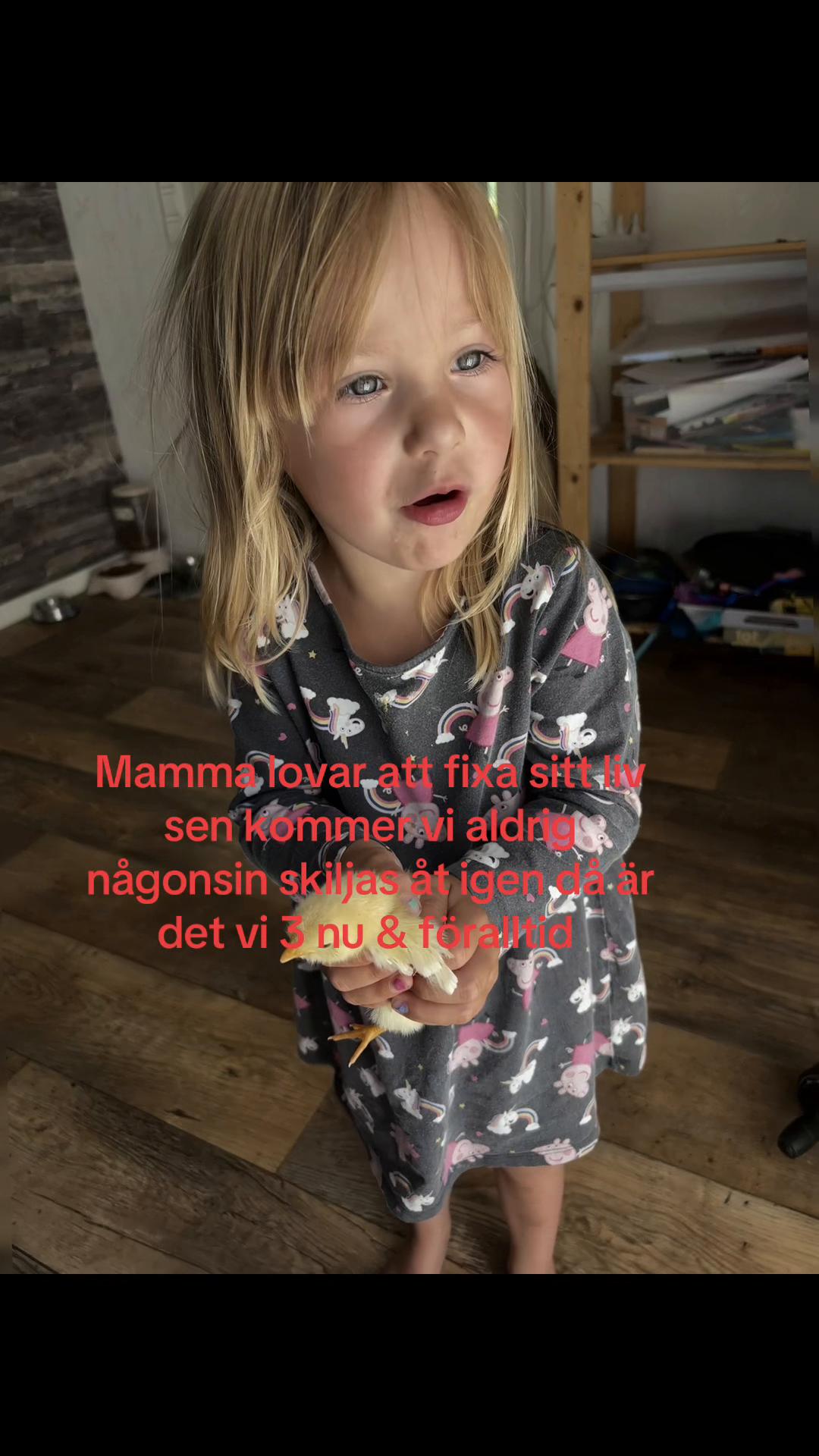 @nilssonida0