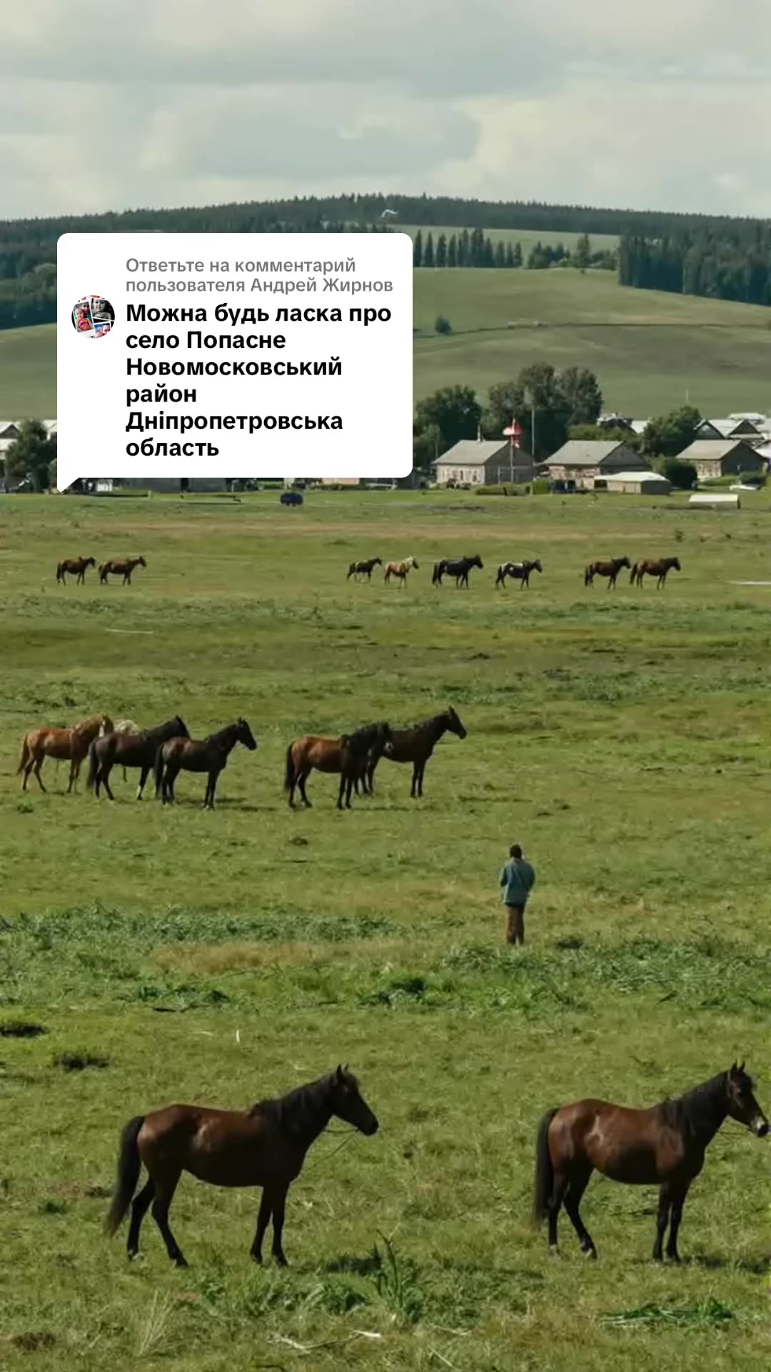 @PavelGorn✅