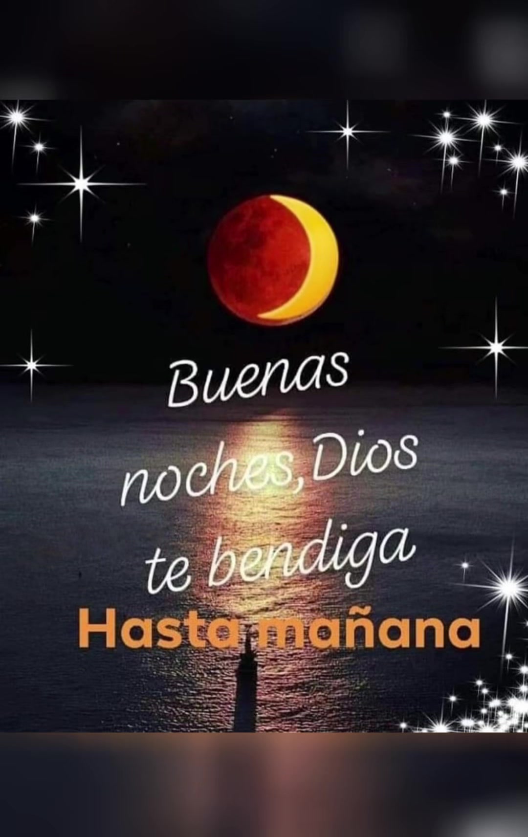 @elvirasvg