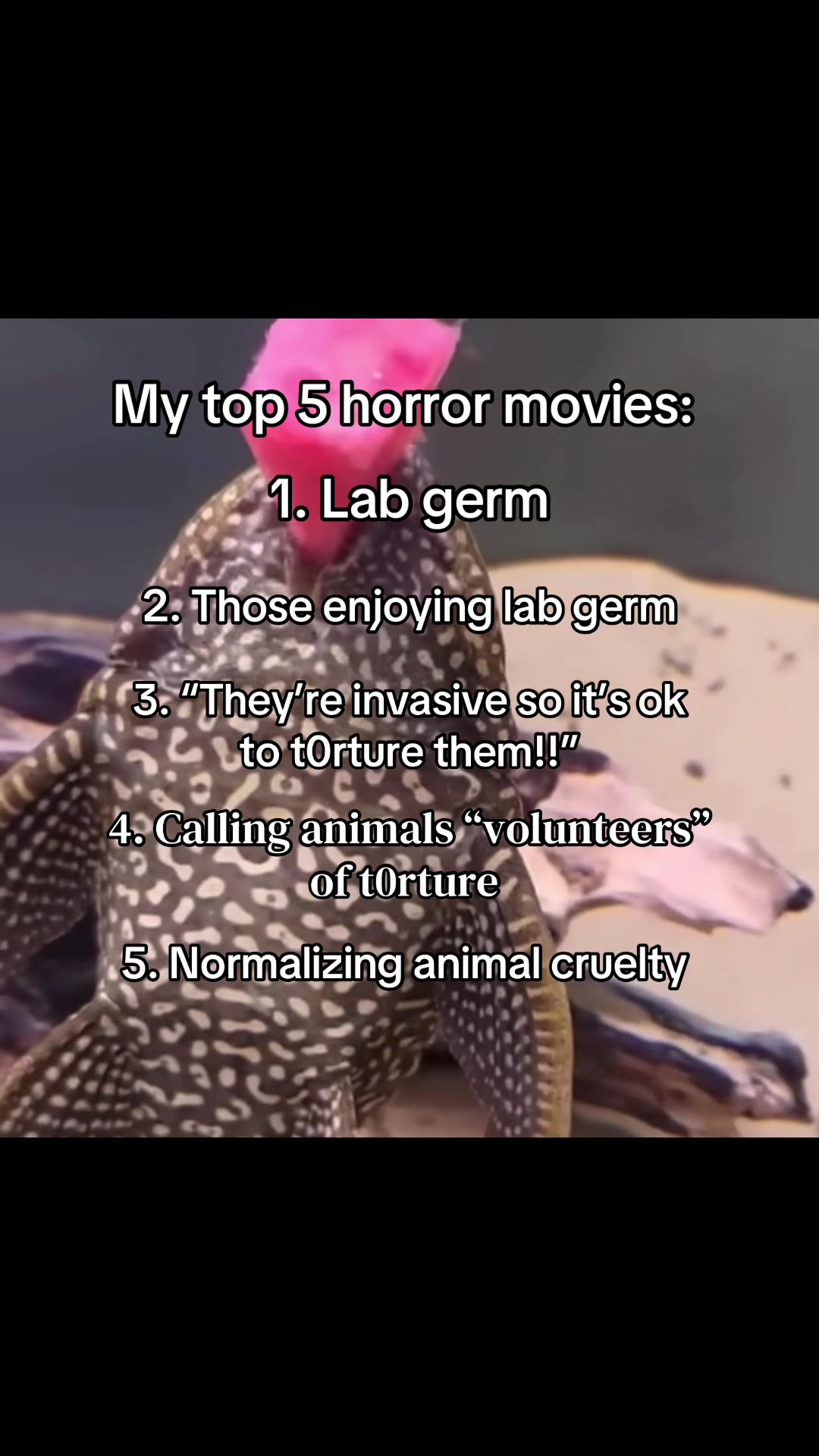 @animalrightsdaily
