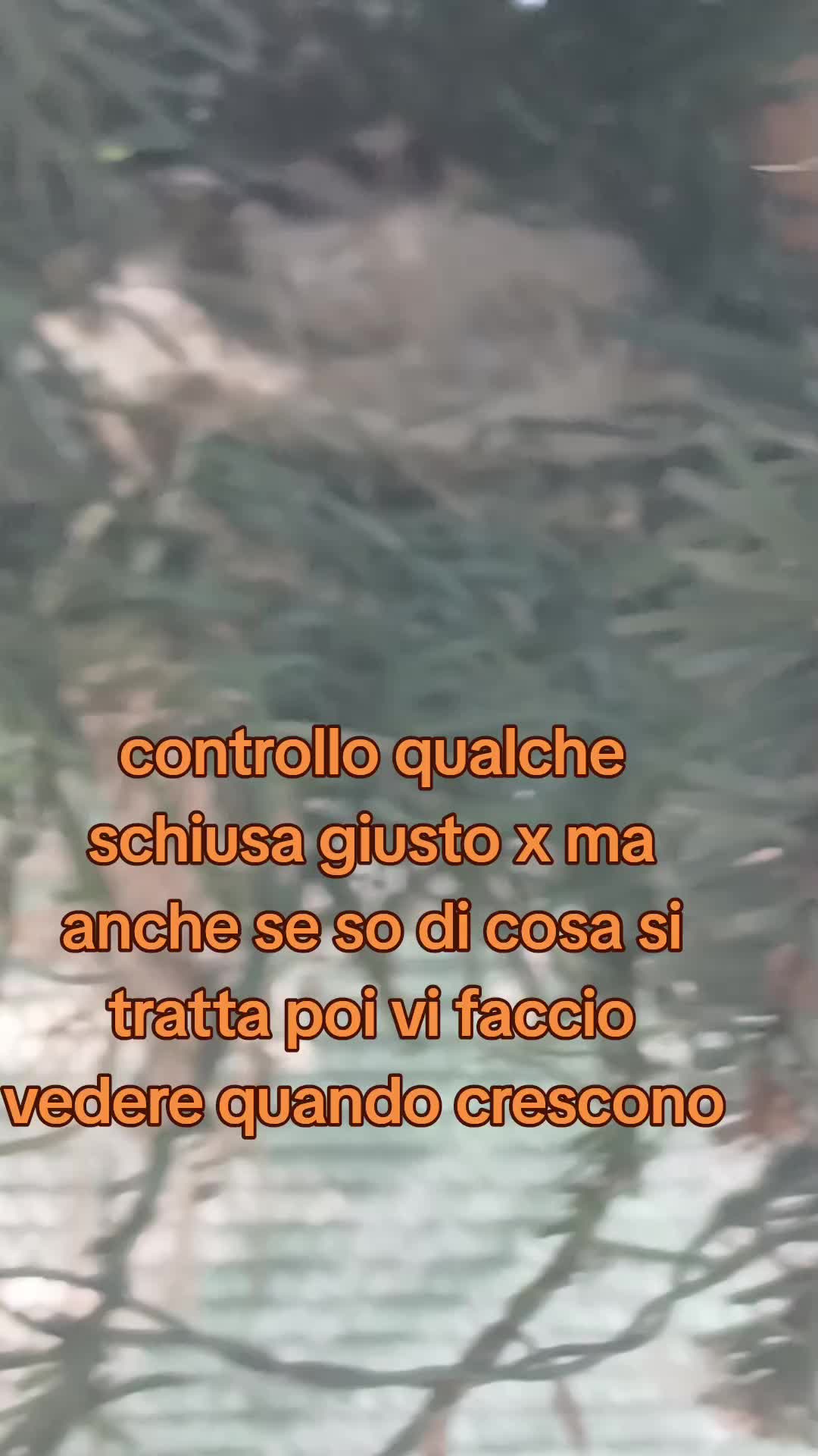 @Leonardo Dellacorte