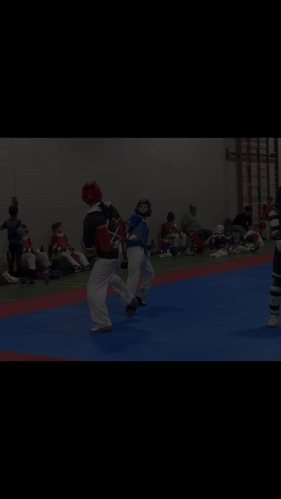 @Taekwondo4life