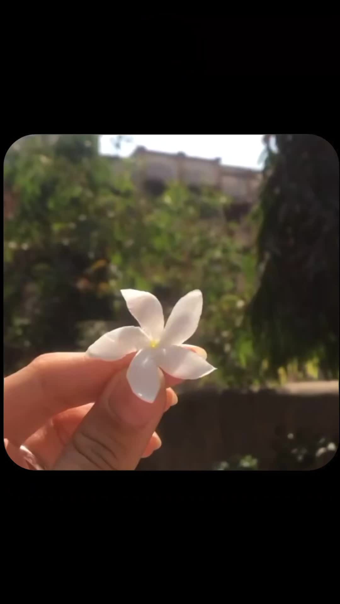 @YOUR ASIM 🦋