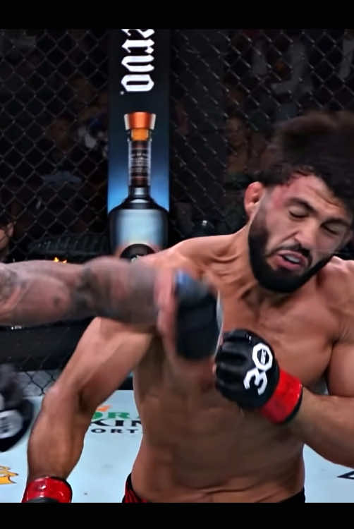 @kentizmma 🕷️