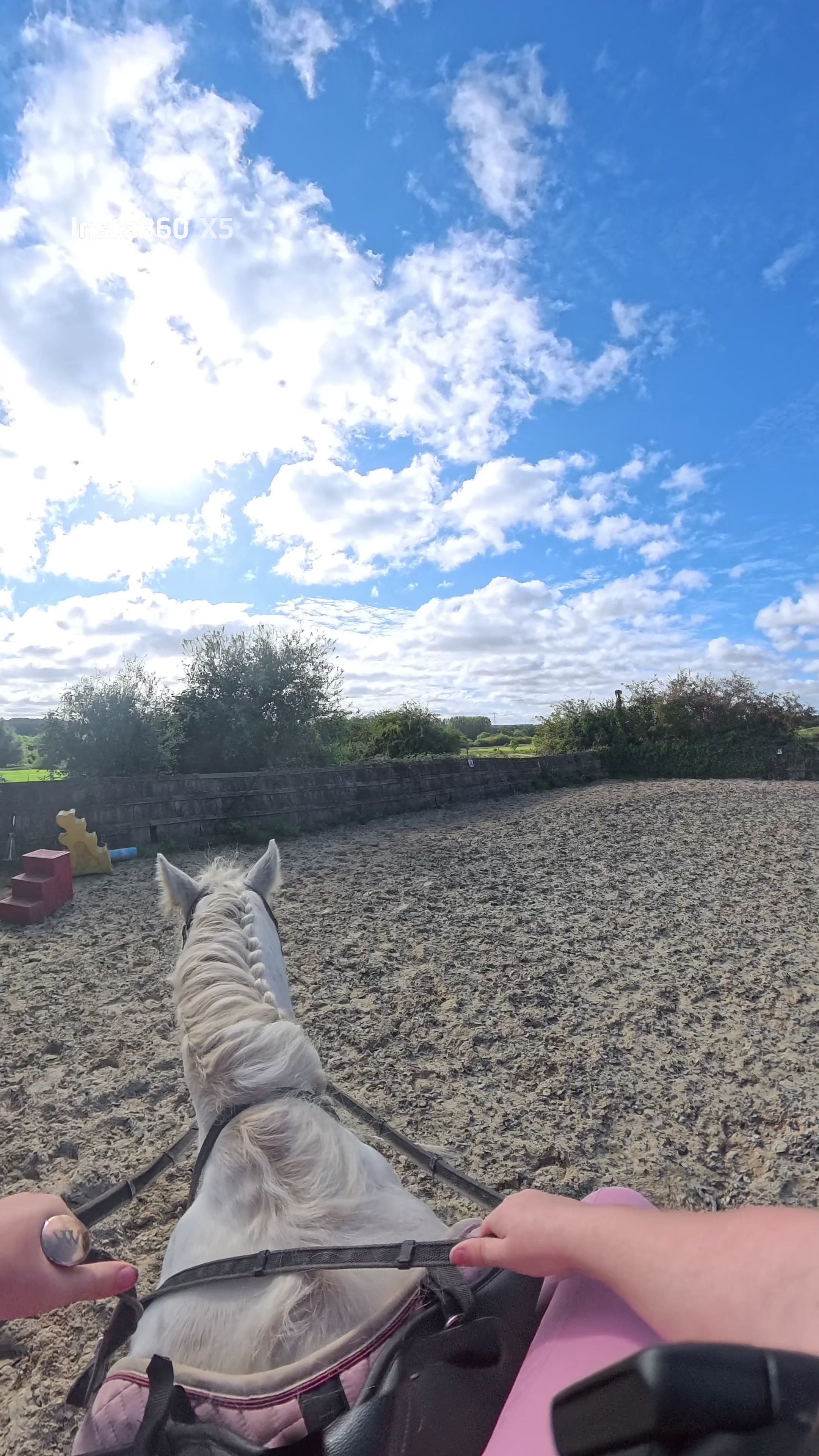 @Nellie-Kerr’s Riding Journey
