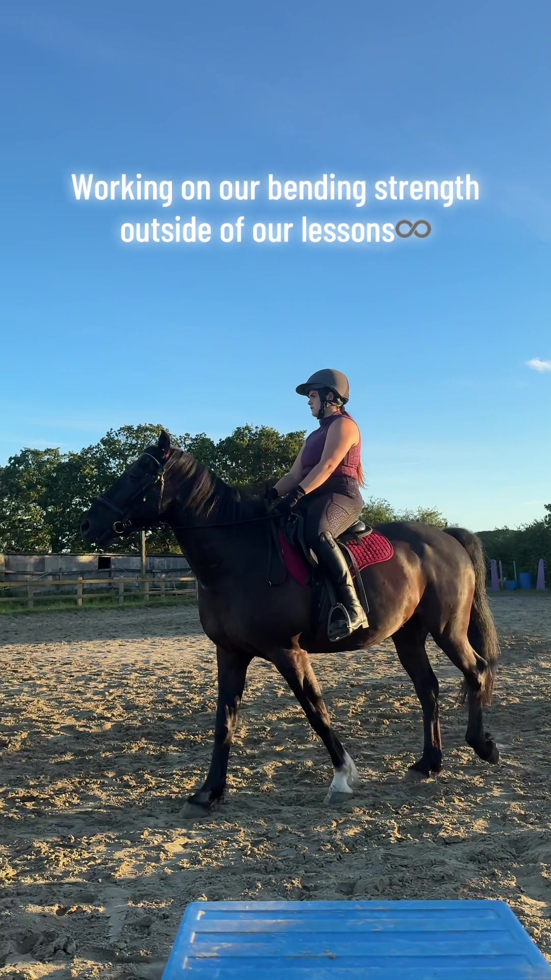 @Charlotte.Equestrian