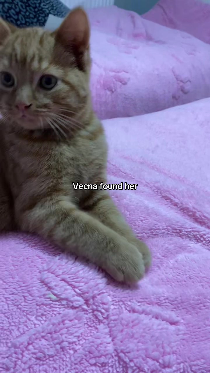 @𝐣𝐞𝐬𝐬𝐢𝐞