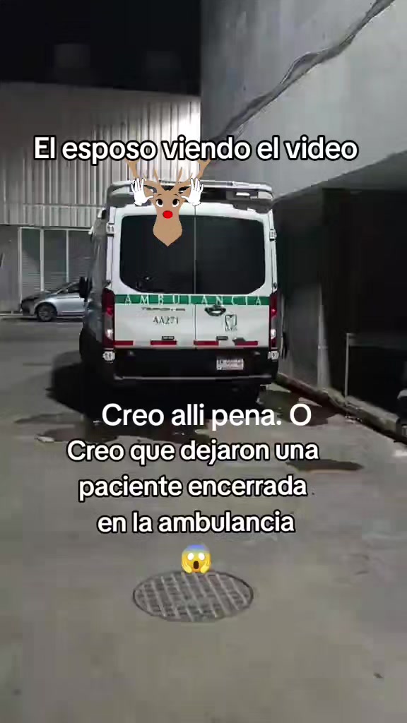 @Erlin Rojas S