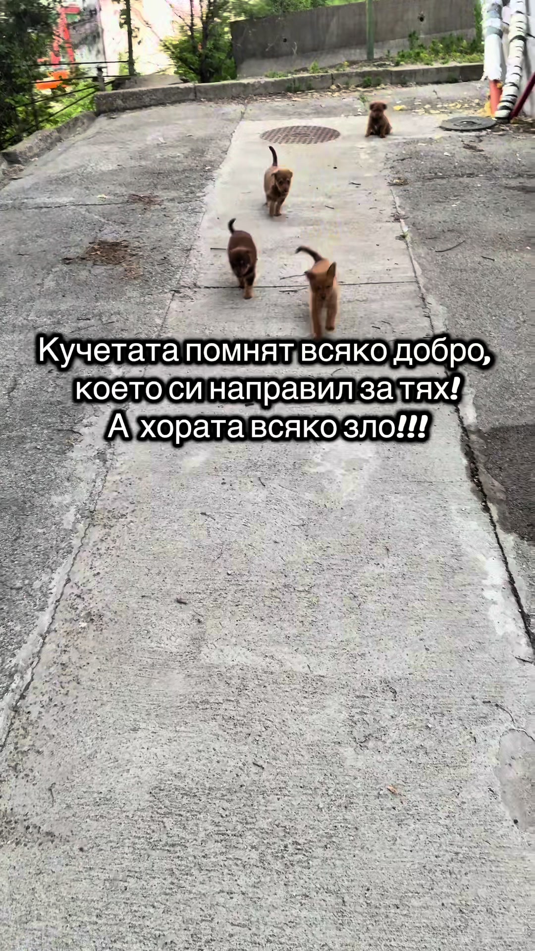 @Марчо Стайков