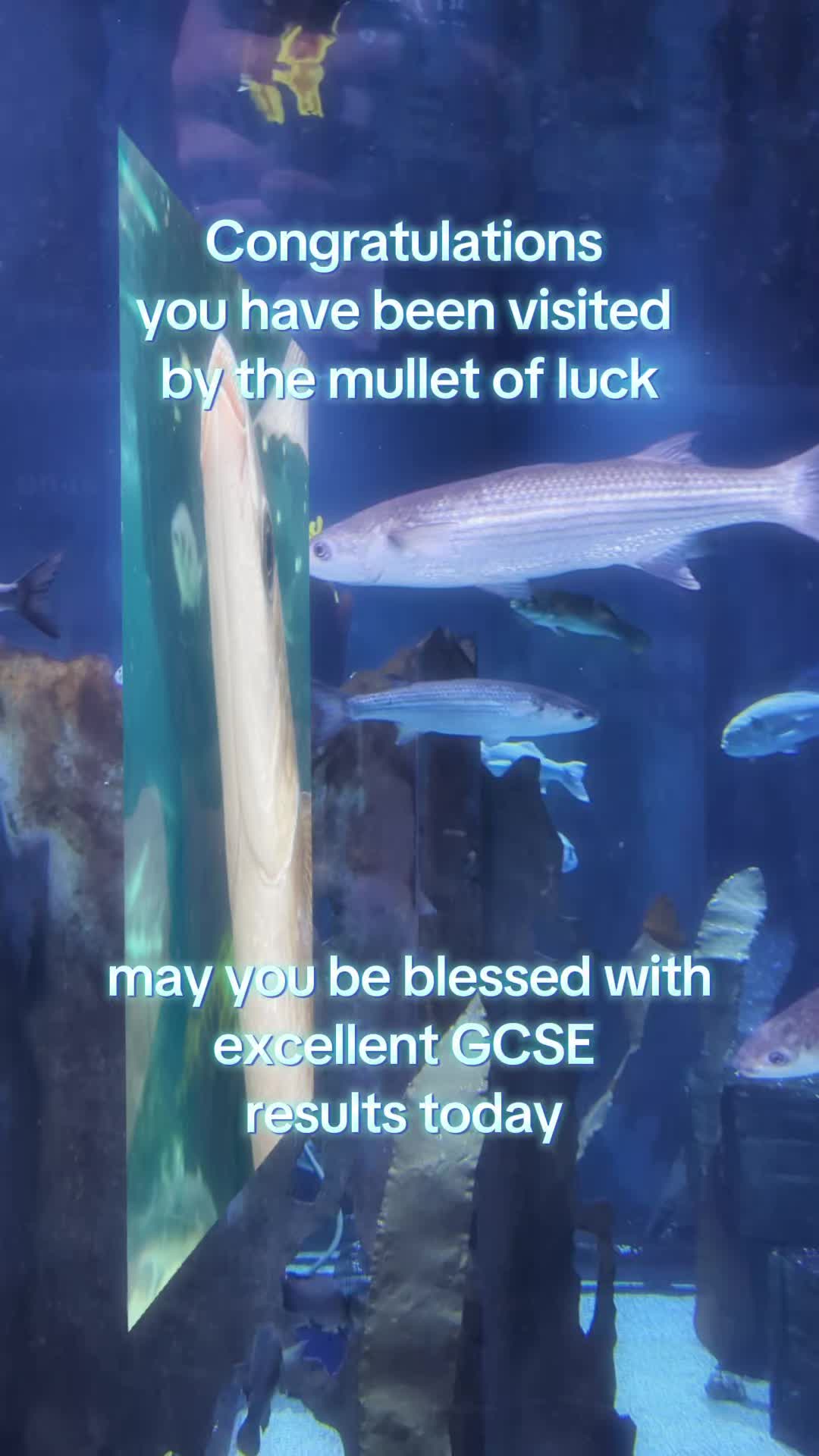 @BristolAquarium