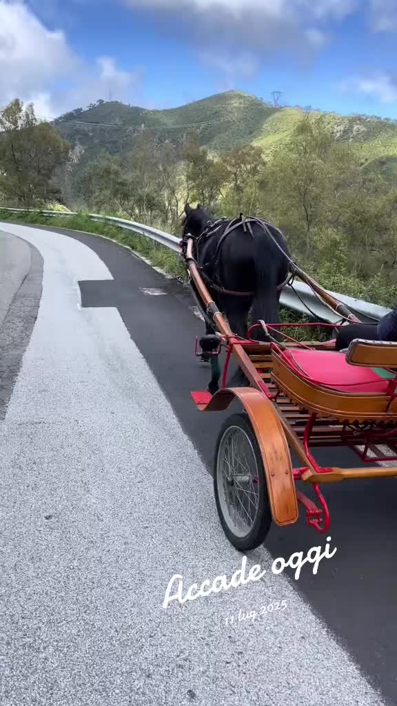 @salvatoretotaro6