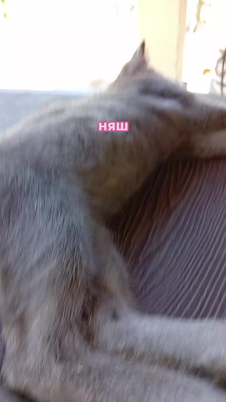 @𝓜𝓲𝓵𝓮𝓭𝓲 𝓓𝓪𝓶𝓪🪽