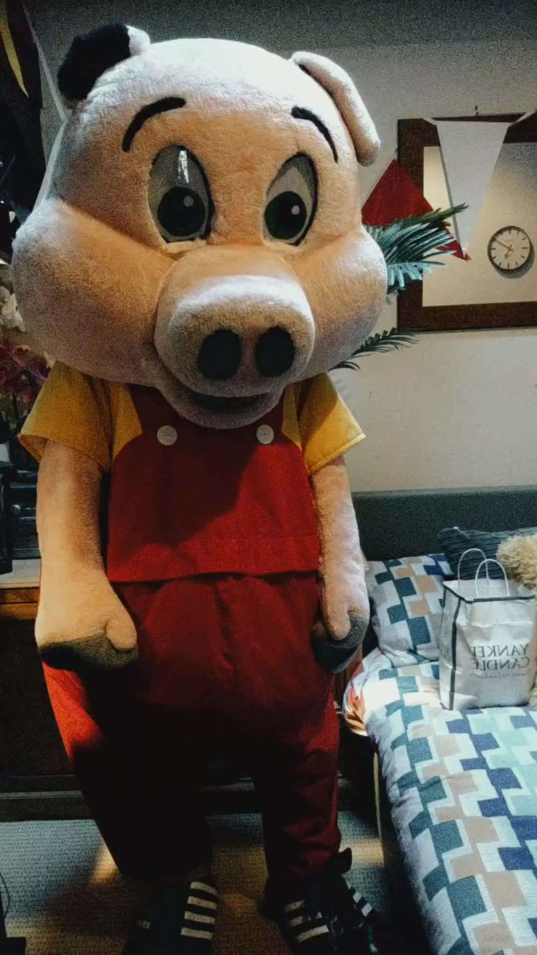 @Mascot Dan