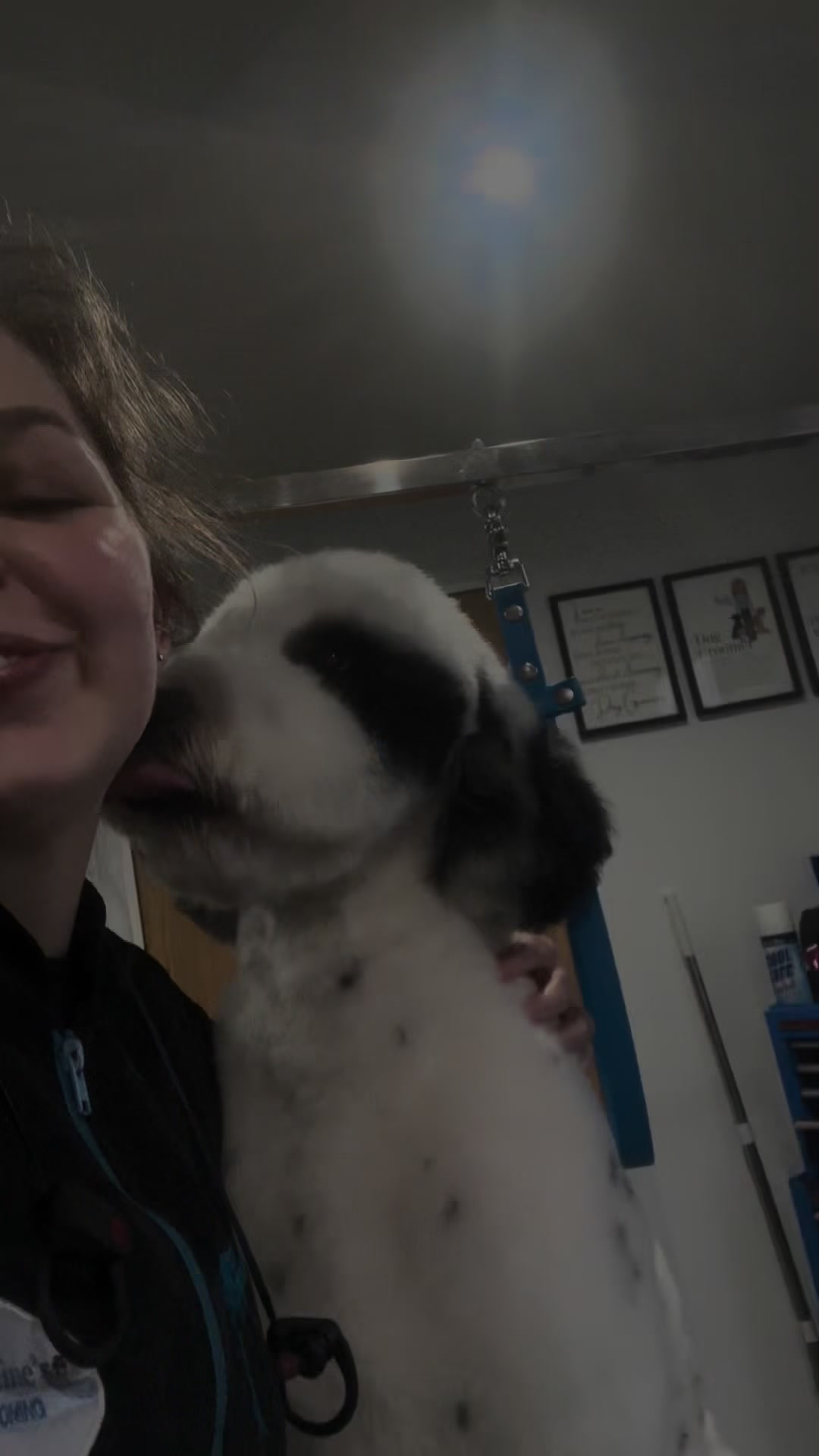 @madeleinesdoggrooming