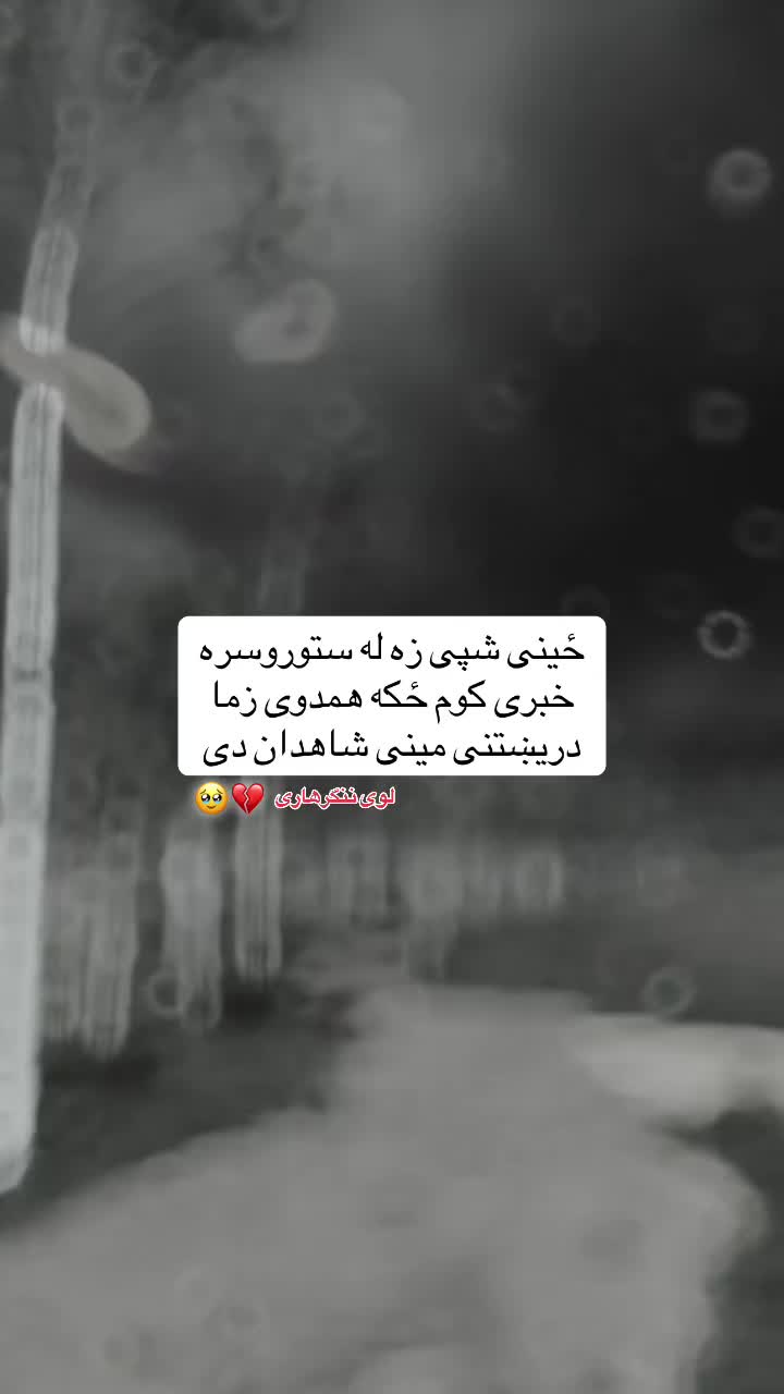 @🍃💔𓆩 رئیس شُوخ هلک 𓆪🥹🍃